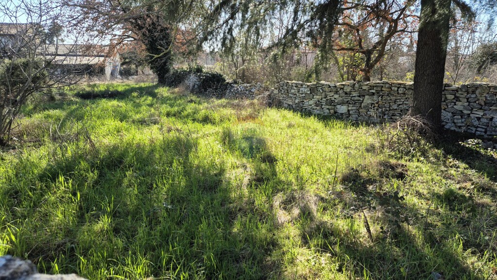 Image 6236155 - 2