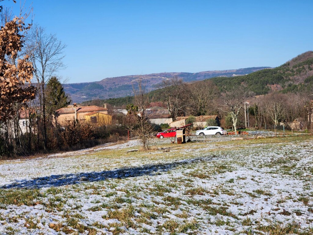 Image 6236158 - 1