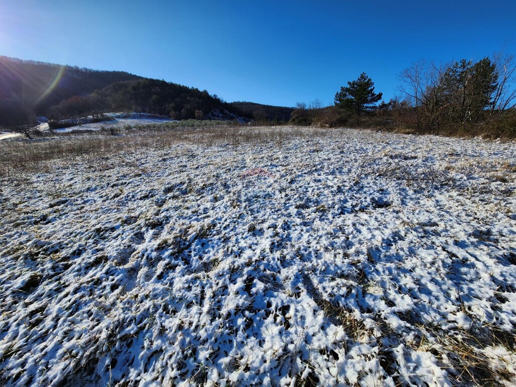 Image 6236158 - 3
