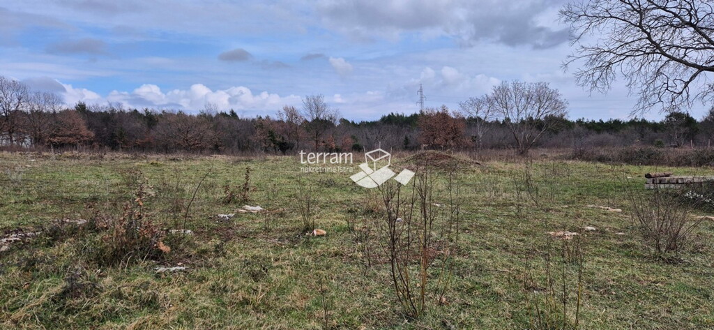 Image 6236159 - 3