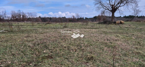 Thumbnail 6236159 - 5