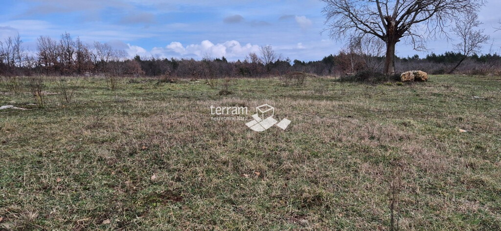 Image 6236159 - 5