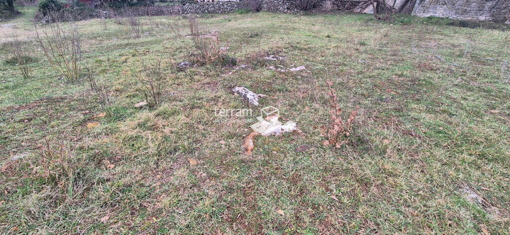 Image 6236159 - 4