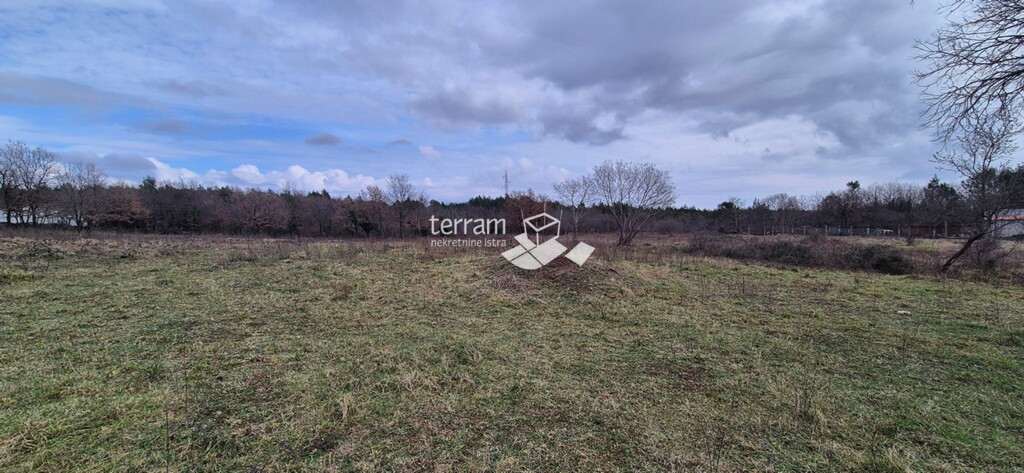 Image 6236159 - 1