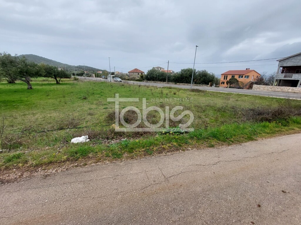 Image 6236229 - 2