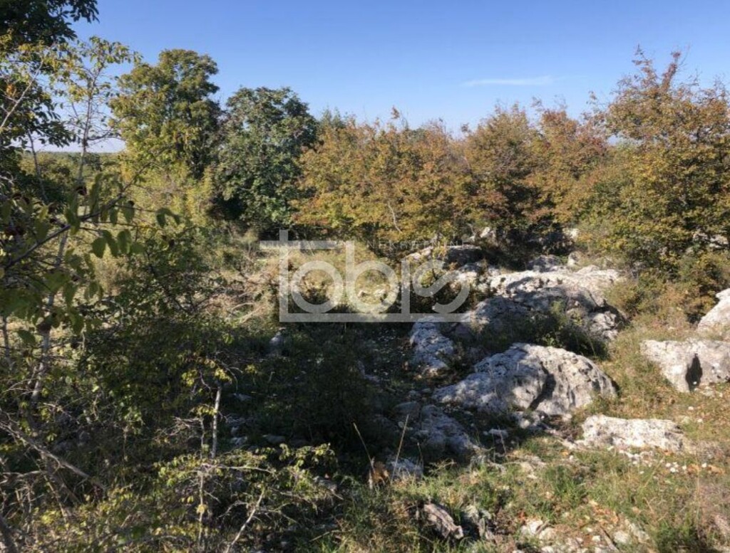 Image 6236231 - 5