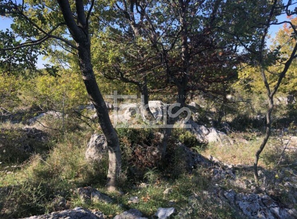 Image 6236231 - 3