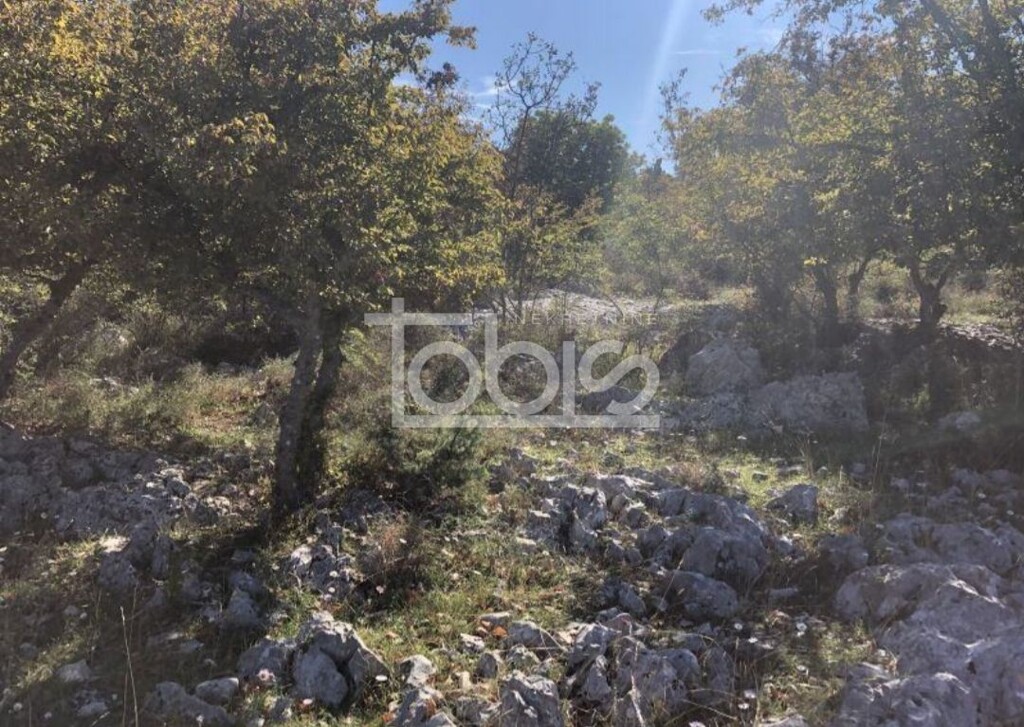 Image 6236231 - 6