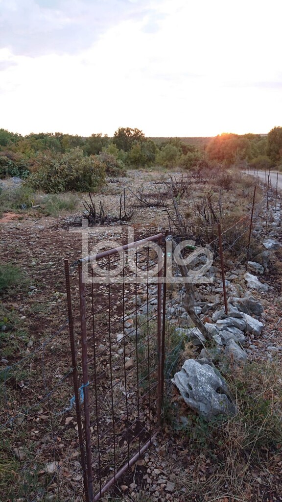 Image 6236231 - 8