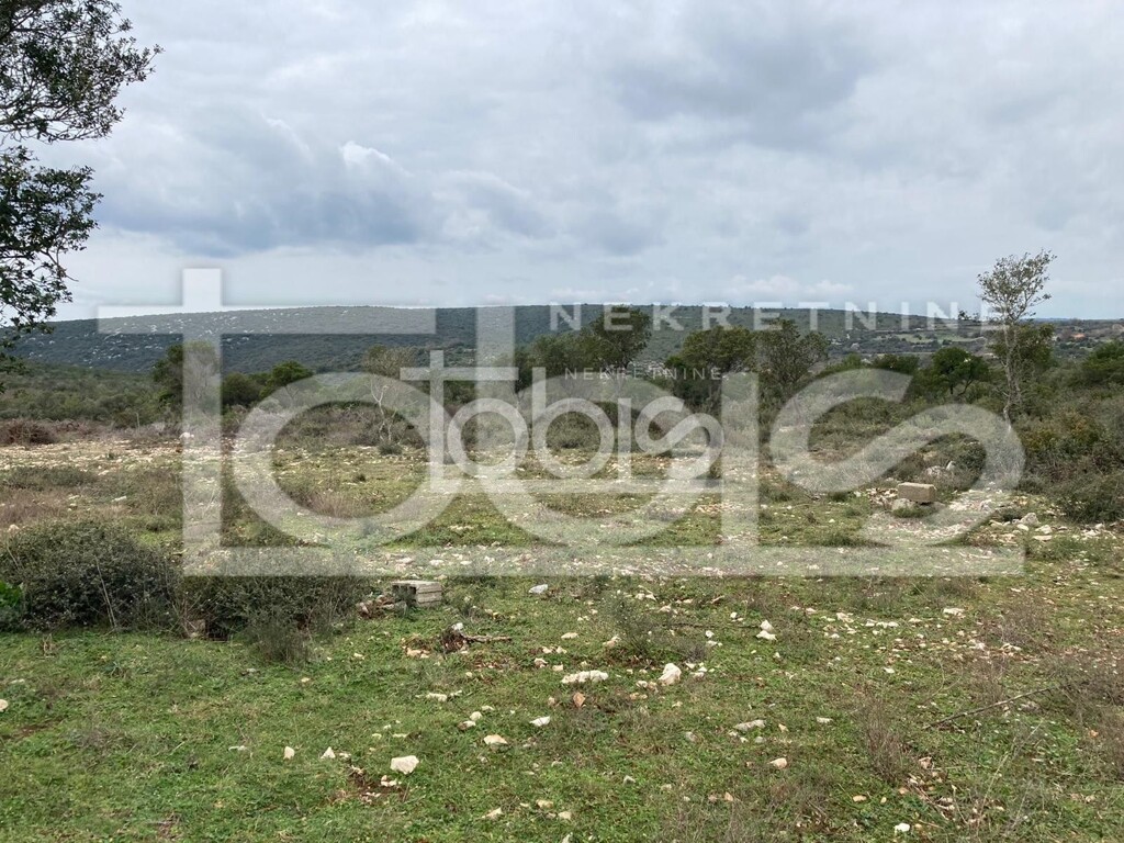 Image 6236237 - 3