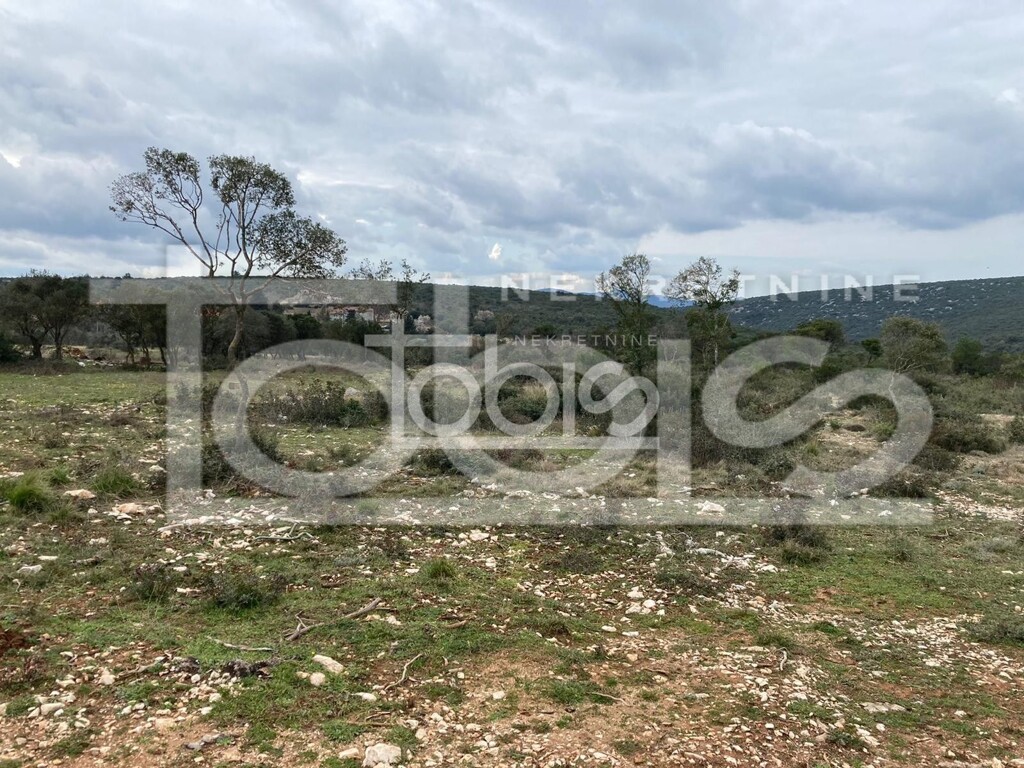 Image 6236237 - 4