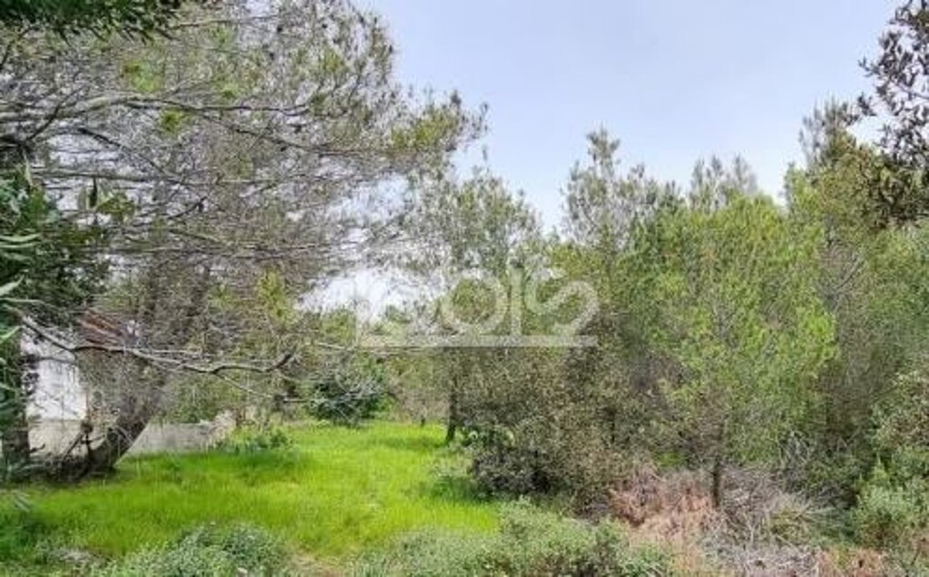 Image 6236247 - 3