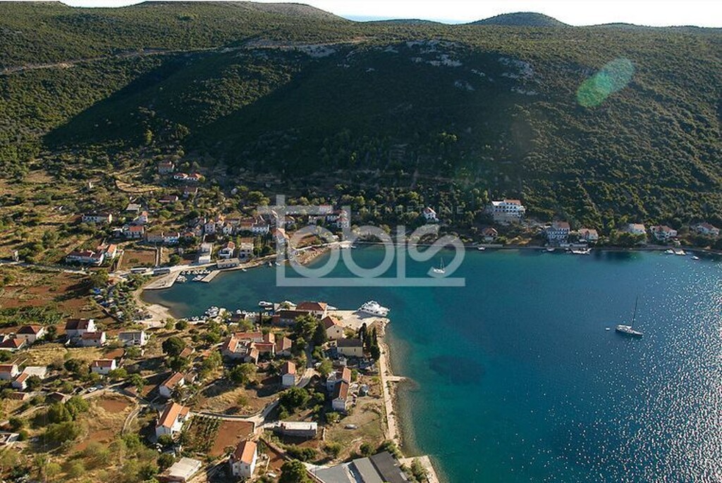 Image 6236249 - 1