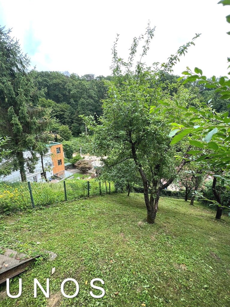 Image 6236293 - 11