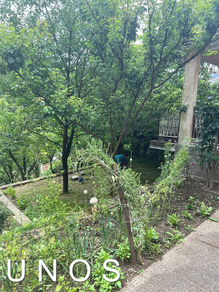 Image 6236293 - 12