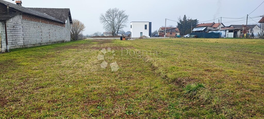 Image 6236590 - 3