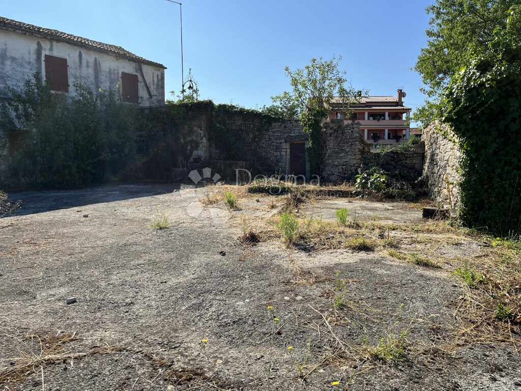 Image 6236594 - 8