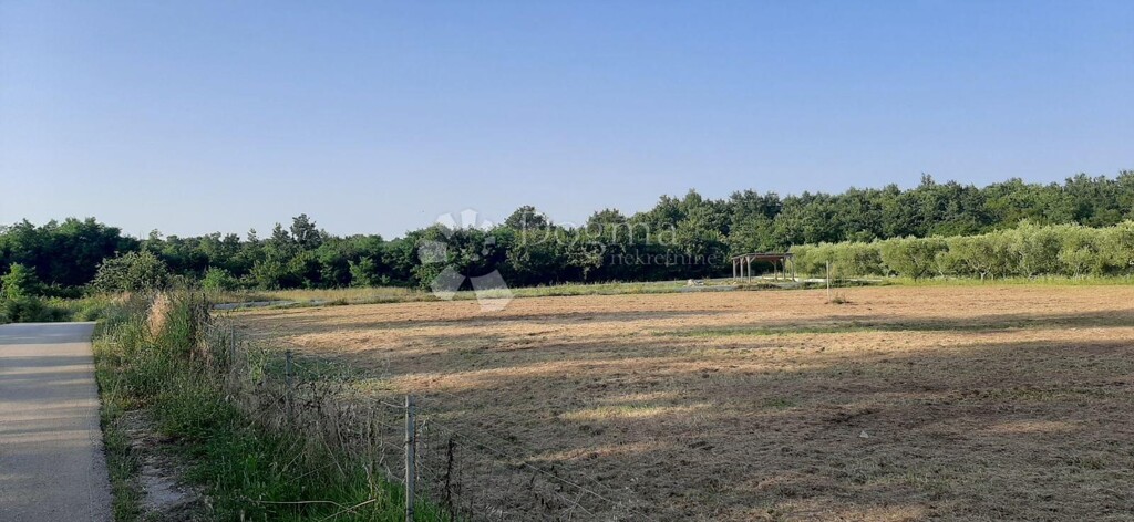 Image 6236595 - 1