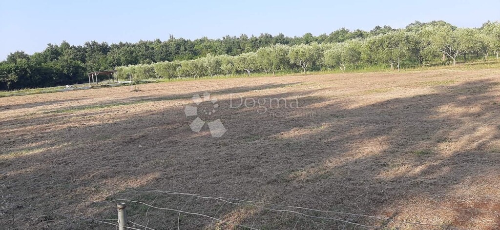 Image 6236598 - 1