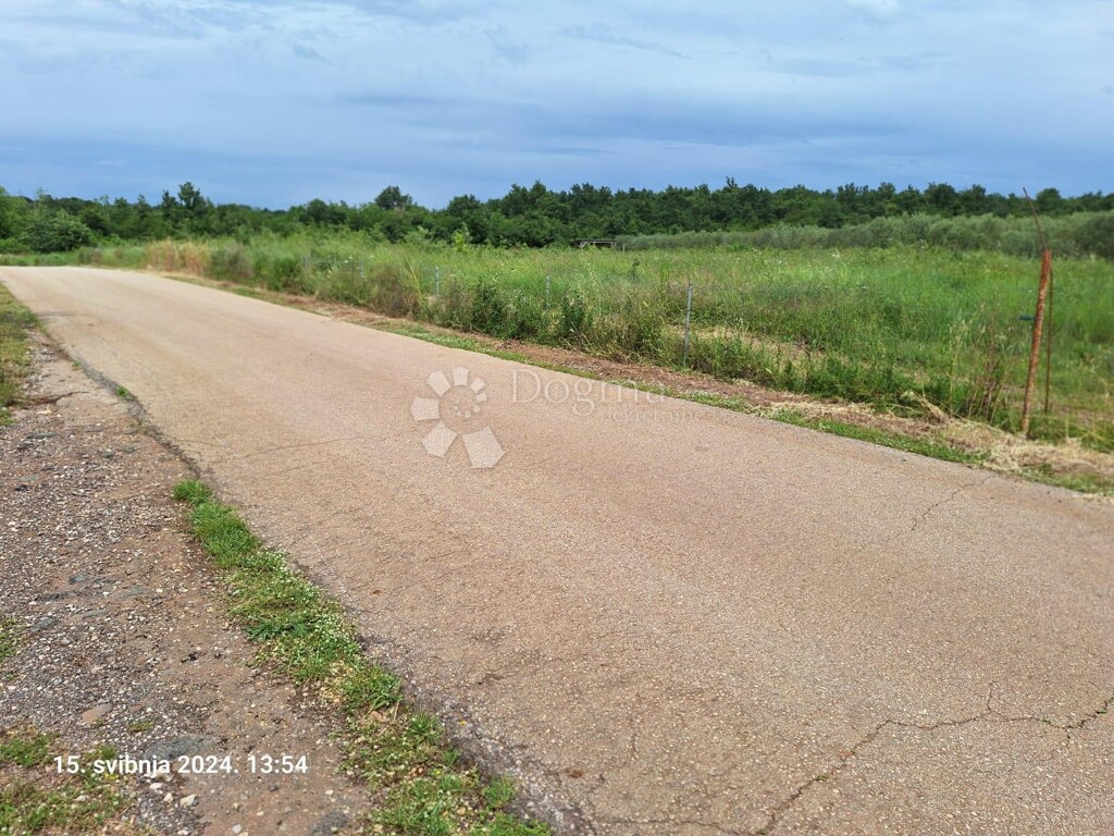 Image 6236598 - 2