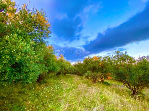 Thumbnail 6236618 - 5