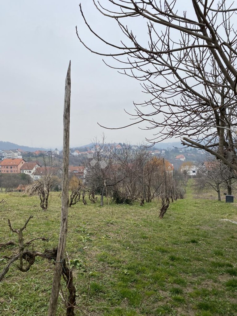 Image 6236620 - 3
