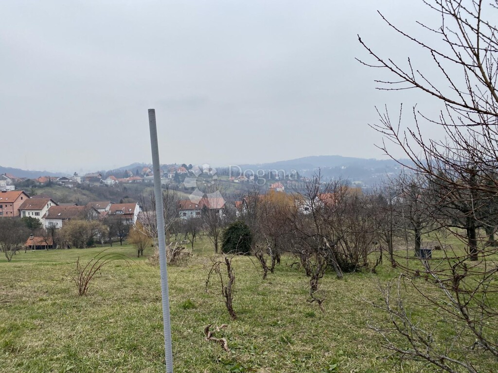 Image 6236620 - 2
