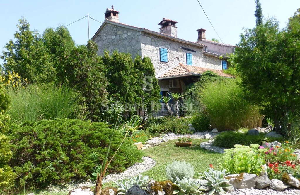 Image 6236625 - 9