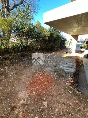 Thumbnail 6236635 - 4