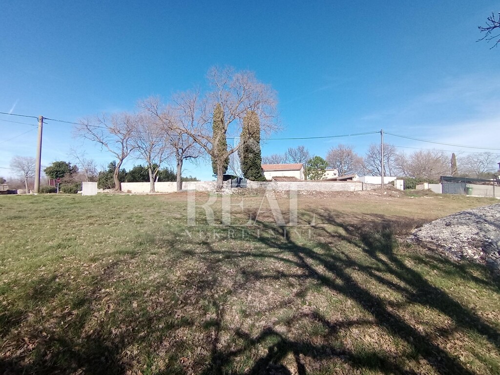 Image 6236646 - 4