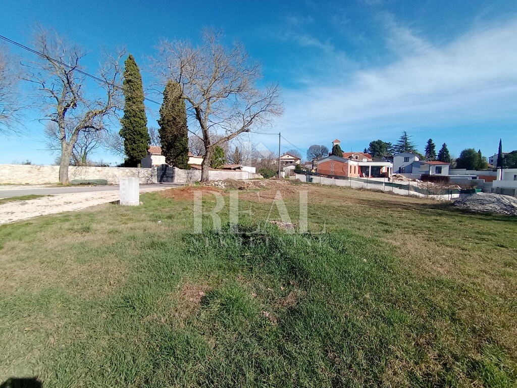 Image 6236646 - 7
