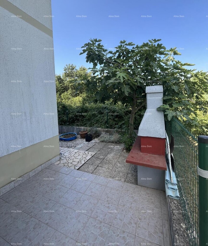 Image 6236661 - 7