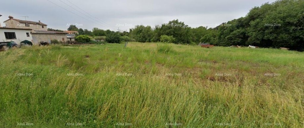 Image 6236662 - 3