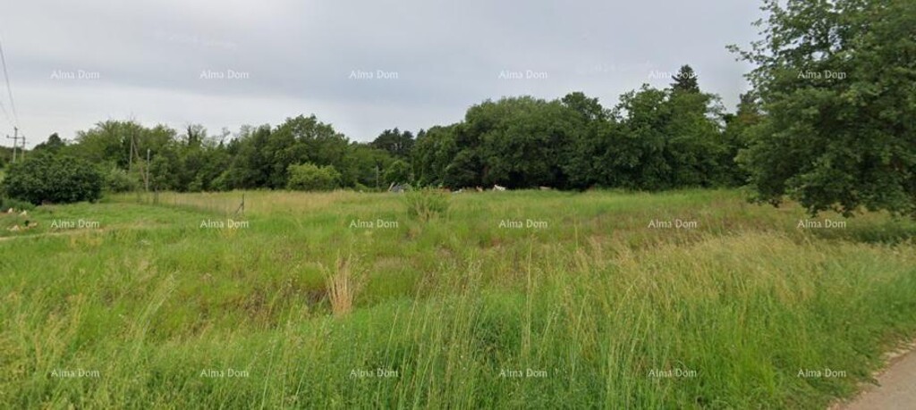 Image 6236662 - 2