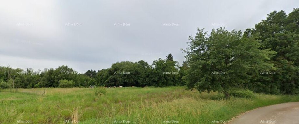 Image 6236662 - 1