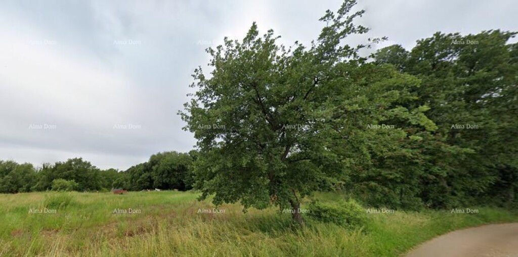 Image 6236662 - 4