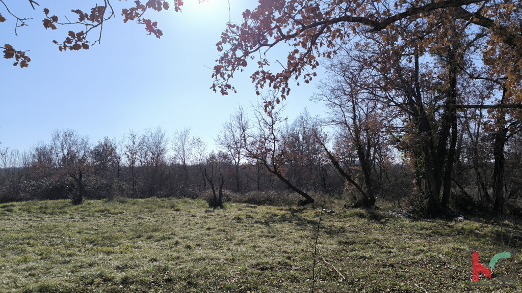 Image 6236667 - 5
