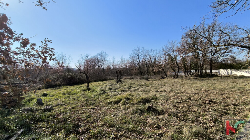 Image 6236667 - 2