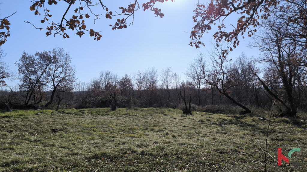 Image 6236667 - 3