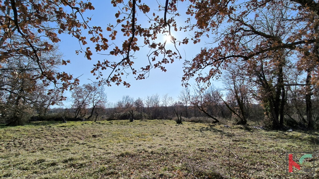 Image 6236667 - 1
