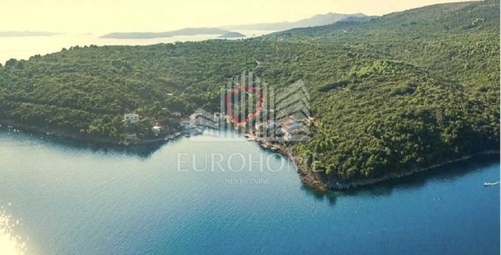 Image 6236686 - 1