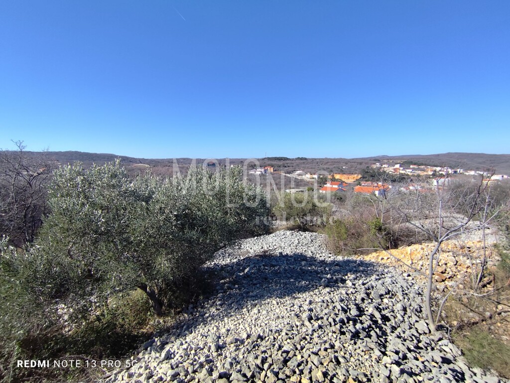 Image 6236764 - 5