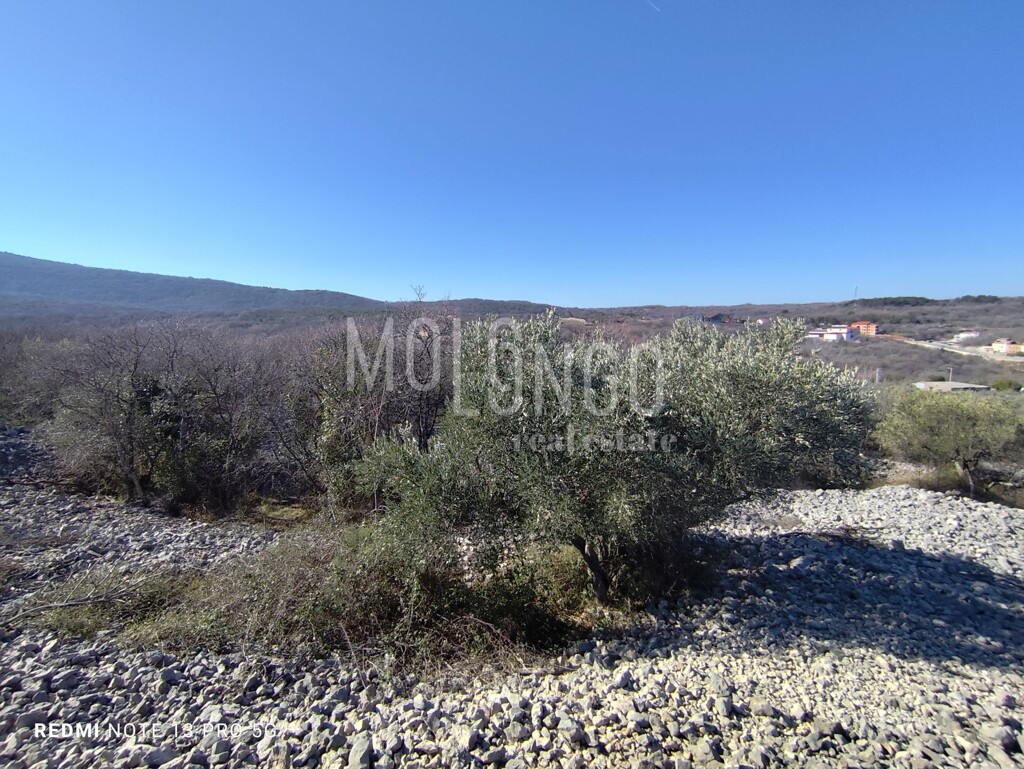 Image 6236764 - 6
