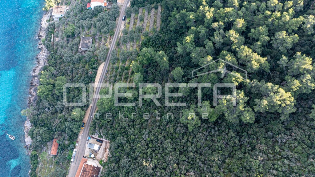 Image 6236773 - 7