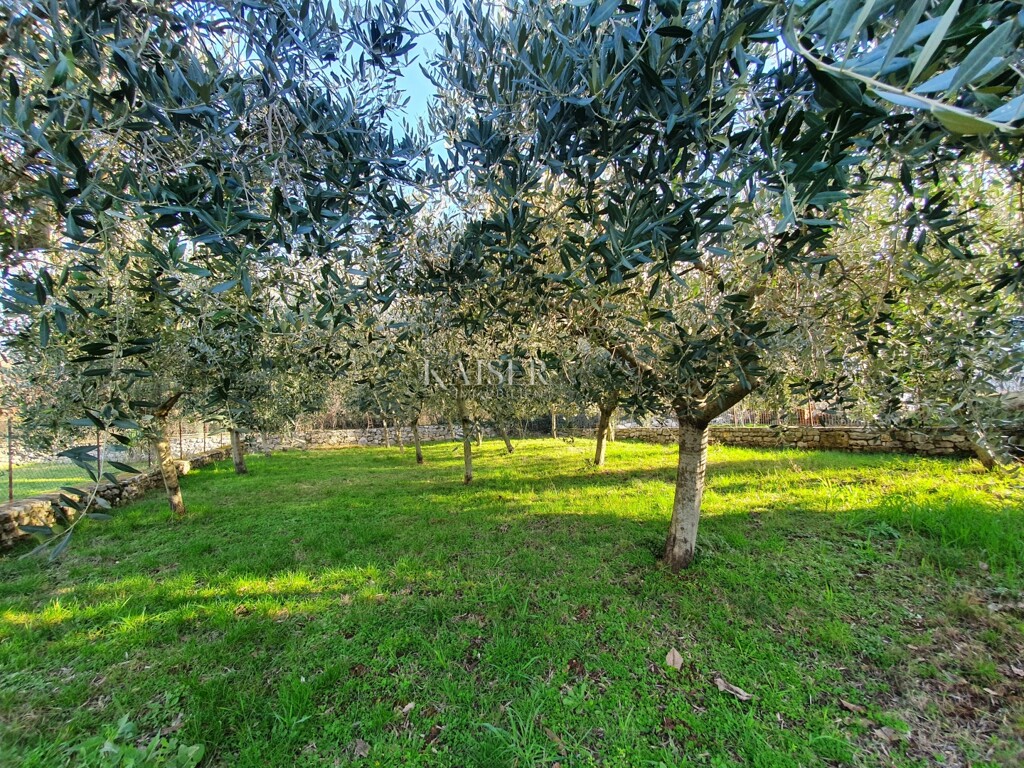 Image 6236785 - 11