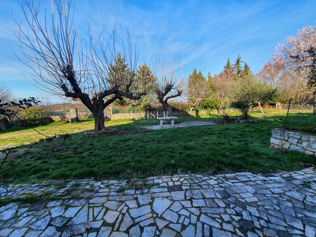 Image 6236785 - 14