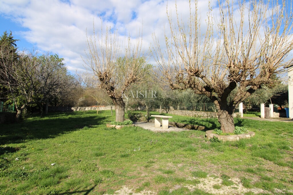 Image 6236785 - 4