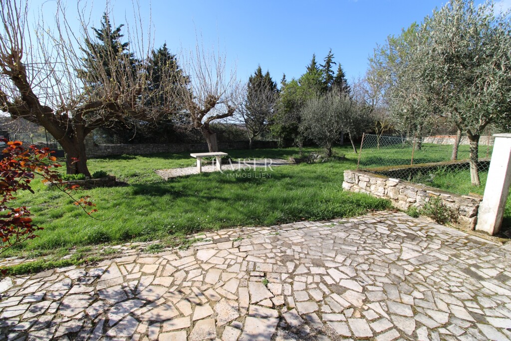 Image 6236785 - 5