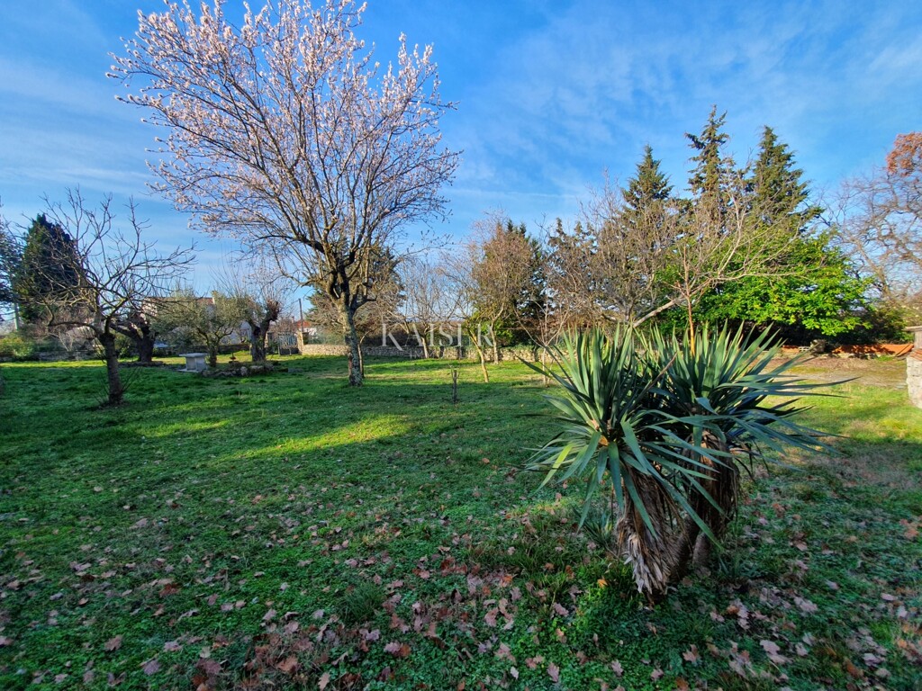 Image 6236785 - 15