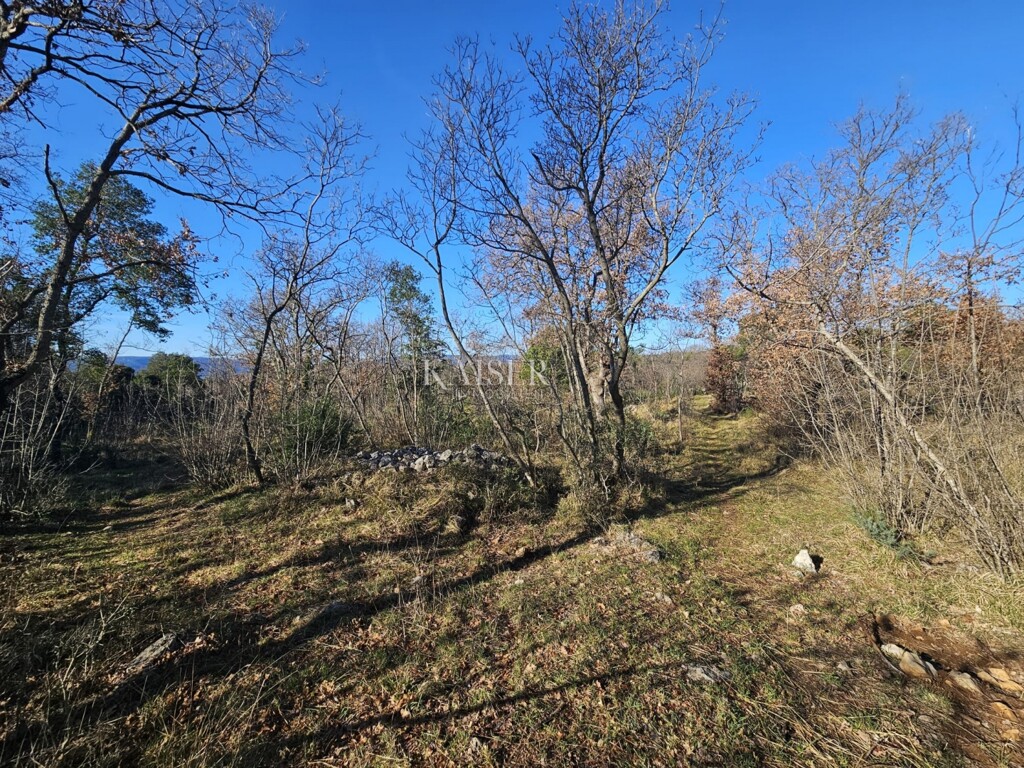 Image 6236786 - 1